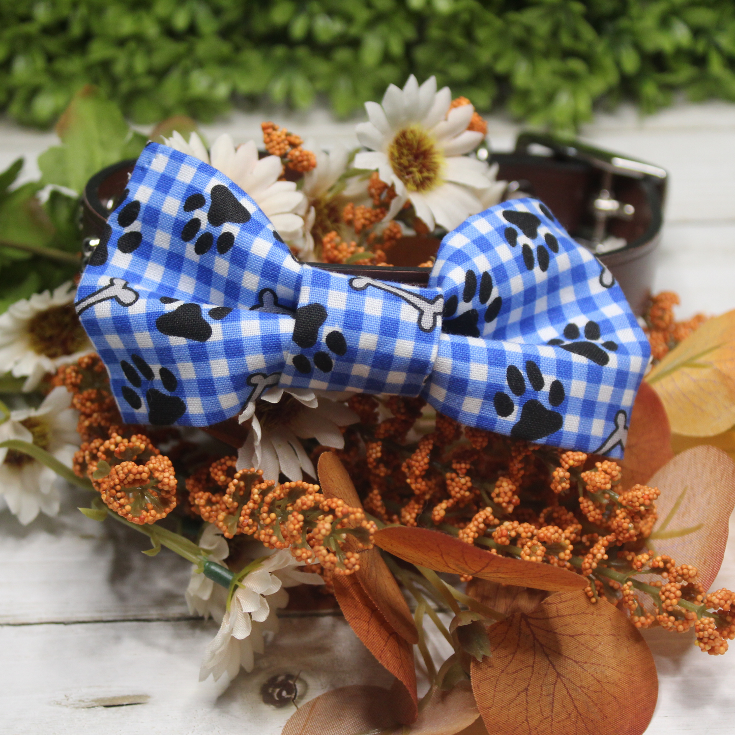 Blue Gingham Over the Collar Pet Bowtie | Ready to Ship or Free Local Pick-up