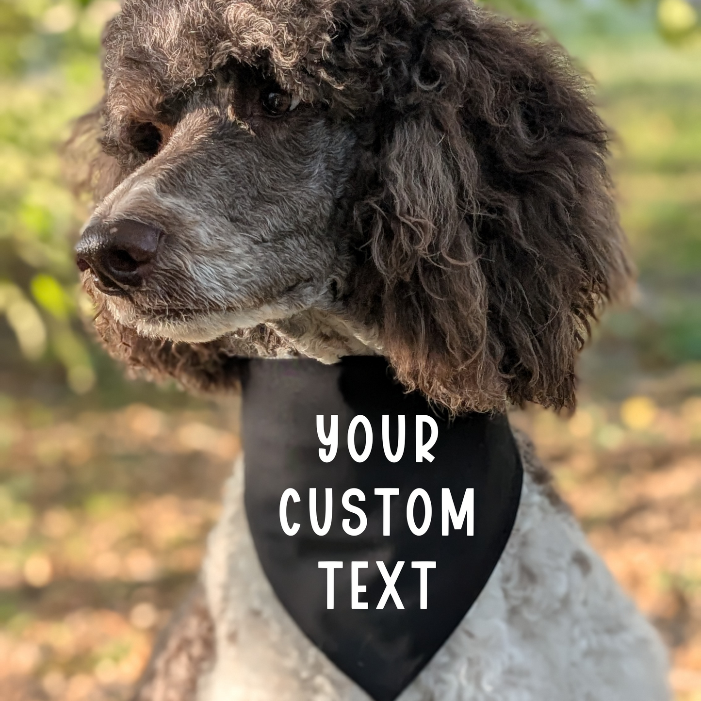 Custom Text Pet Bandana | Scrunchie or Over the Collar Style Bandana Options