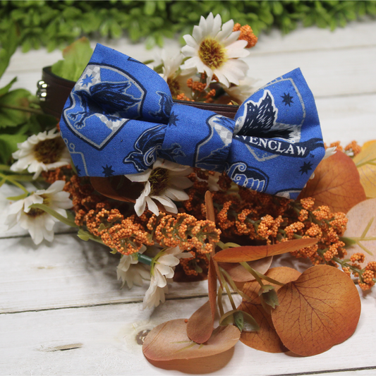 Blue Wizard House Over the Collar Pet Bowtie | Ready to Ship or Free Local Pick-up