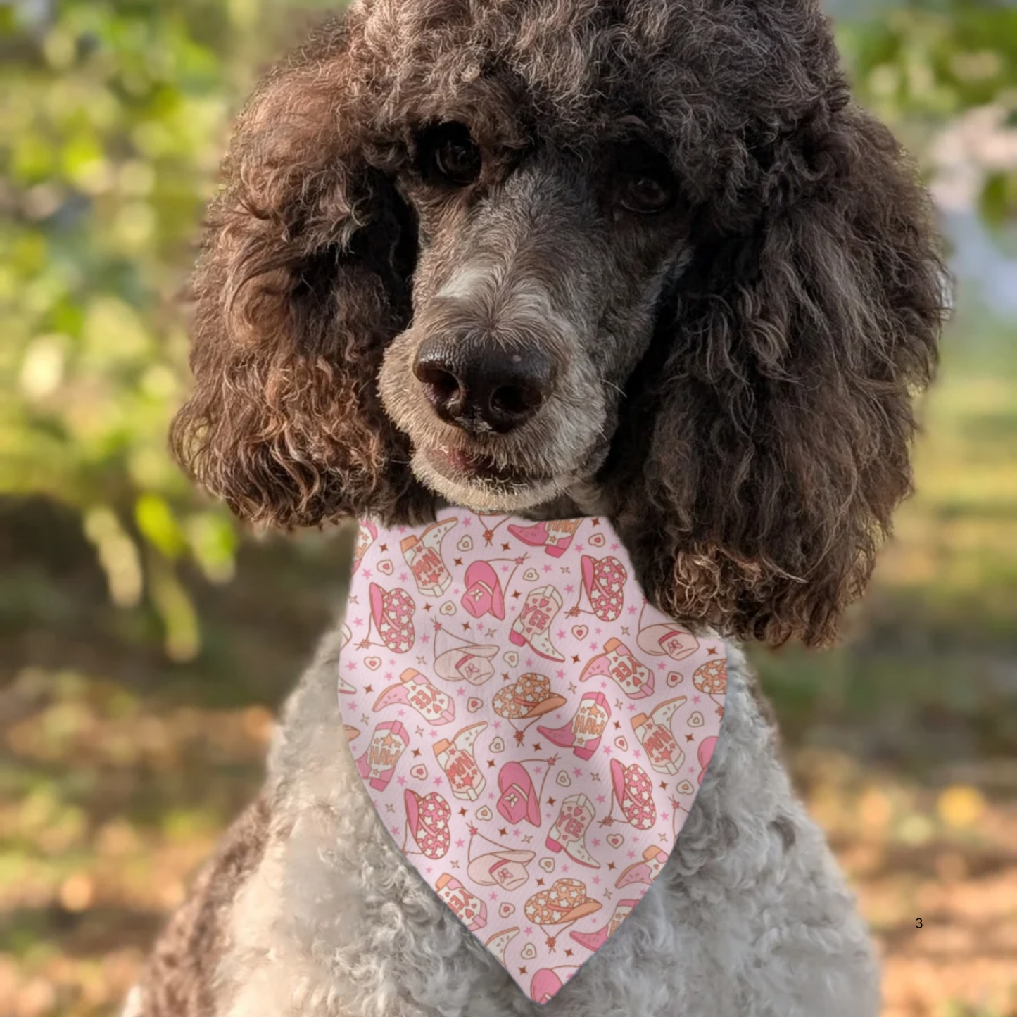 Pink Cowgirl Pet Bandana | Scrunchie or Over the Collar Style Bandana Options
