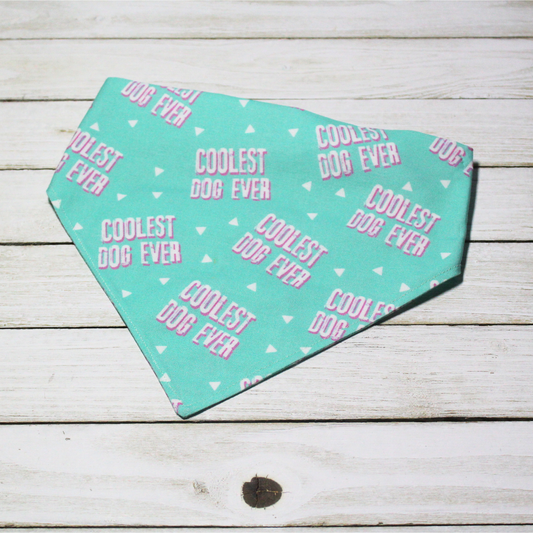 Coolest Dog Ever Pet Bandana | Scrunchie or Over the Collar Style Bandana Options