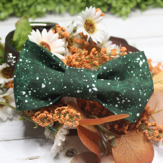 Green and White Over the Collar Pet Bowtie | Ready to Ship or Free Local Pick-up