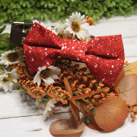 Red and White Over the Collar Pet Bowtie | Ready to Ship or Free Local Pick-up