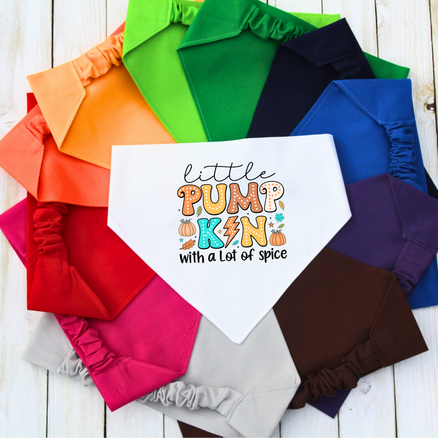 Little Pumpkin Full of Spice Pet Bandana | Scrunchie or Over the Collar Style Bandana Options