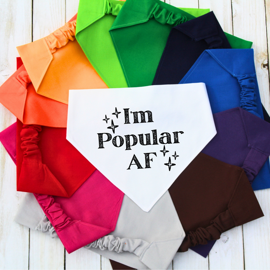 I'm Popular AF Pet Bandana | Scrunchie or Over the Collar Style Bandana Options