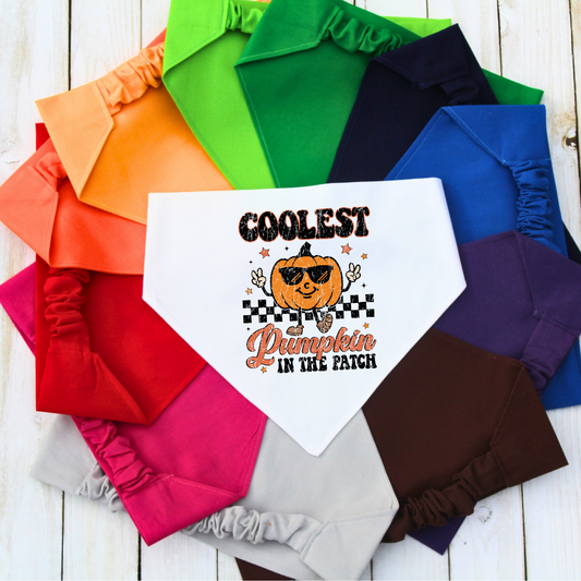 Coolest Pumpkin in the Patch Pet Bandana | Scrunchie or Over the Collar Style Bandana Options