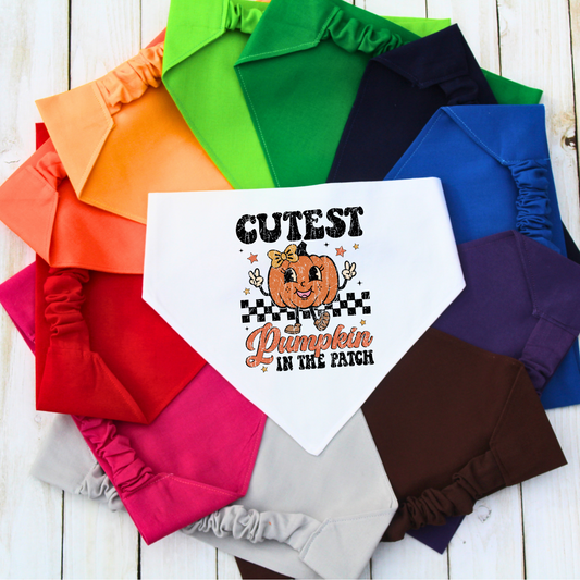 Cutest Pumpkin in the Patch Pet Bandana | Scrunchie or Over the Collar Style Bandana Options
